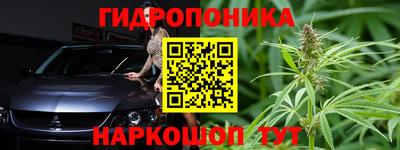 Альфа ПВП Малгобек